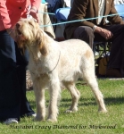 Filename=H-CrazyDiamond.jpg
Filesize=90KiB
Dimensions=600x647
Date added=Jan 31, 2010 H-CrazyDiamond.jpg