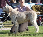 Filename=M-MoonStorm.jpg
Filesize=83KiB
Dimensions=600x517
Date added=Jan 31, 2010 M-MoonStorm.jpg
