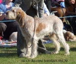 Filename=R-Schillaci.jpg
Filesize=77KiB
Dimensions=600x509
Date added=Jan 31, 2010 R-Schillaci.jpg