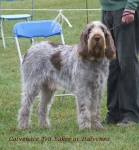 Filename=C-TedBaker.jpg
Filesize=86KiB
Dimensions=600x645
Date added=Jan 31, 2010 C-TedBaker.jpg