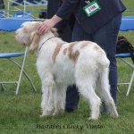 Filename=H-CheekyVimto.jpg
Filesize=73KiB
Dimensions=600x600
Date added=Jan 31, 2010 H-CheekyVimto.jpg