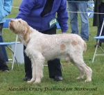 Filename=H-CrazyDiamond.jpg
Filesize=72KiB
Dimensions=600x550
Date added=Jan 31, 2010 H-CrazyDiamond.jpg