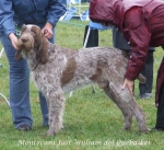 Filename=M-JustWilliam.jpg
Filesize=83KiB
Dimensions=600x551
Date added=Jan 31, 2010 M-JustWilliam.jpg