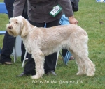 Filename=Netis-InTheGroove.jpg
Filesize=68KiB
Dimensions=600x514
Date added=Jan 31, 2010 Netis-InTheGroove.jpg