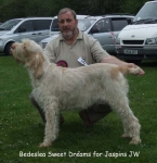 Filename=B-SweetDreams.jpg
Filesize=68KiB
Dimensions=600x618
Date added=Sep 17, 2009 B-SweetDreams.jpg