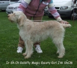 Filename=G-MagicGaietyGirl.jpg
Filesize=68KiB
Dimensions=600x537
Date added=Sep 17, 2009 G-MagicGaietyGirl.jpg