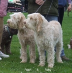 Filename=Ruby and Pearl.jpg
Filesize=75KiB
Dimensions=600x615
Date added=Sep 17, 2009 Ruby and Pearl.jpg