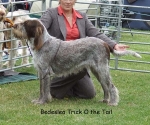 Filename=B-TrickOTheTail.jpg
Filesize=90KiB
Dimensions=600x500
Date added=Sep 17, 2009 B-TrickOTheTail.jpg