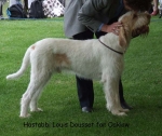 Nom du fichier=H-LouisDousset.jpg
Taille du fichier=63Ko
Dimensions : 600x505
Ajouté le : 17 Septembre 2009 H-LouisDousset.jpg