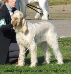 Filename=B-LoveInAMist.jpg
Filesize=79KiB
Dimensions=600x625
Date added=Jan 31, 2010 B-LoveInAMist.jpg