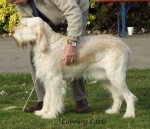 Filename=C-Carlo.jpg
Filesize=70KiB
Dimensions=600x519
Date added=Jan 31, 2010 C-Carlo.jpg