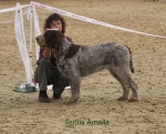 Filename=F-Amalia.jpg
Filesize=105KiB
Dimensions=800x650
Date added=Jan 31, 2010 F-Amalia.jpg