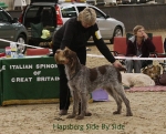 Filename=H-SideBySide.jpg
Filesize=99KiB
Dimensions=800x650
Date added=Jan 31, 2010 H-SideBySide.jpg