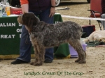 Filename=L-CreamOfTheCrop.jpg
Filesize=71KiB
Dimensions=800x600
Date added=Jan 31, 2010 L-CreamOfTheCrop.jpg