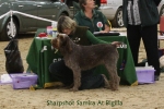 Filename=Sharpshot-Samira.jpg
Filesize=80KiB
Dimensions=900x600
Date added=Jan 31, 2010 Sharpshot-Samira.jpg