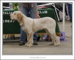 Filename=A-Asriel.jpg
Filesize=117KiB
Dimensions=868x698
Date added=Sep 17, 2009 A-Asriel.jpg