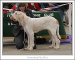 Filename=B-BillyElliot.jpg
Filesize=123KiB
Dimensions=868x698
Date added=Sep 17, 2009 B-BillyElliot.jpg