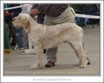 Filename=B-EdwardGRobinson.jpg
Filesize=113KiB
Dimensions=868x698
Date added=Sep 17, 2009 B-EdwardGRobinson.jpg