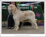 Filename=B-Finlay.jpg
Filesize=120KiB
Dimensions=868x698
Date added=Sep 17, 2009 B-Finlay.jpg