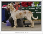 Filename=B-TigerByTheTail.jpg
Filesize=123KiB
Dimensions=868x698
Date added=Sep 17, 2009 B-TigerByTheTail.jpg