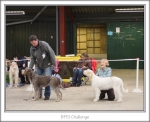 Filename=BPIS-Challenge.jpg
Filesize=123KiB
Dimensions=868x710
Date added=Sep 17, 2009 BPIS-Challenge.jpg