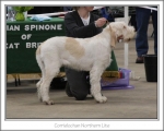 Filename=C-NorthernLite.jpg
Filesize=114KiB
Dimensions=868x698
Date added=Sep 17, 2009 C-NorthernLite.jpg