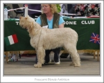 Filename=F-BlondeAmbition.jpg
Filesize=118KiB
Dimensions=868x698
Date added=Sep 17, 2009 F-BlondeAmbition.jpg