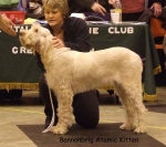 Filename=B-AtomicKitten.jpg
Filesize=57KiB
Dimensions=600x532
Date added=Sep 17, 2009 B-AtomicKitten.jpg