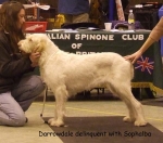 Filename=D-Delinquent.jpg
Filesize=60KiB
Dimensions=600x530
Date added=Sep 17, 2009 D-Delinquent.jpg