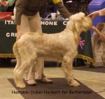 H-DidierHerbert.jpg
