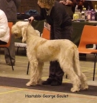 H-GeorgeGoulet.jpg