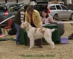 Filename=H-CheekyVimto.jpg
Filesize=93KiB
Dimensions=800x650
Date added=Jan 31, 2010 H-CheekyVimto.jpg