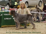 Filename=I-Simoni.jpg
Filesize=103KiB
Dimensions=800x600
Date added=Jan 31, 2010 I-Simoni.jpg