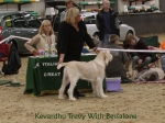 Filename=K-Trevy.jpg
Filesize=80KiB
Dimensions=800x600
Date added=Jan 31, 2010 K-Trevy.jpg