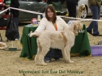 Filename=M-JustEva.jpg
Filesize=76KiB
Dimensions=800x600
Date added=Jan 31, 2010 M-JustEva.jpg