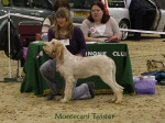 Filename=M-Twister.jpg
Filesize=88KiB
Dimensions=800x600
Date added=Jan 31, 2010 M-Twister.jpg