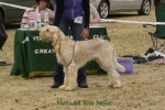 Filename=N-AllRiteNow.jpg
Filesize=82KiB
Dimensions=900x600
Date added=Jan 31, 2010 N-AllRiteNow.jpg