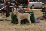 Filename=P-Guinevere.jpg
Filesize=91KiB
Dimensions=900x600
Date added=Jan 31, 2010 P-Guinevere.jpg