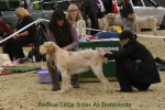 Filename=R-LittleSister.jpg
Filesize=91KiB
Dimensions=900x600
Date added=Jan 31, 2010 R-LittleSister.jpg