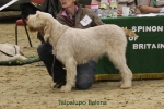 Filename=T-Balena.jpg
Filesize=79KiB
Dimensions=900x600
Date added=Jan 31, 2010 T-Balena.jpg