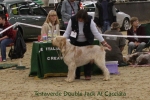 Filename=T-DoubleJack.jpg
Filesize=87KiB
Dimensions=900x600
Date added=Jan 31, 2010 T-DoubleJack.jpg