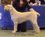 Filename=A-Amelia.jpg
Filesize=46KiB
Dimensions=600x498
Date added=Jan 31, 2010 A-Amelia.jpg