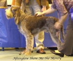 Filename=A-ShowMeTheMoney.jpg
Filesize=54KiB
Dimensions=600x502
Date added=Jan 31, 2010 A-ShowMeTheMoney.jpg