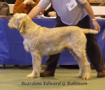 Filename=B-EdwardGRobinson.jpg
Filesize=51KiB
Dimensions=600x516
Date added=Jan 31, 2010 B-EdwardGRobinson.jpg