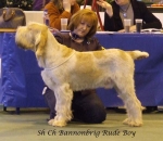 Filename=B-RudeBoy.jpg
Filesize=53KiB
Dimensions=600x523
Date added=Jan 31, 2010 B-RudeBoy.jpg