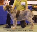 Filename=C-TedBaker.jpg
Filesize=57KiB
Dimensions=600x513
Date added=Jan 31, 2010 C-TedBaker.jpg