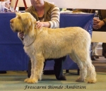 Filename=F-BlondeAmbition.jpg
Filesize=53KiB
Dimensions=600x517
Date added=Jan 31, 2010 F-BlondeAmbition.jpg