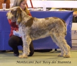 Filename=M-JustRosy.jpg
Filesize=53KiB
Dimensions=600x516
Date added=Jan 31, 2010 M-JustRosy.jpg
