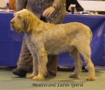 Filename=M-LatinSpirit.jpg
Filesize=49KiB
Dimensions=600x516
Date added=Jan 31, 2010 M-LatinSpirit.jpg