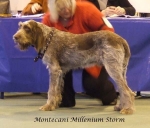 Filename=M-MilleniumStorm.jpg
Filesize=52KiB
Dimensions=600x512
Date added=Jan 31, 2010 M-MilleniumStorm.jpg